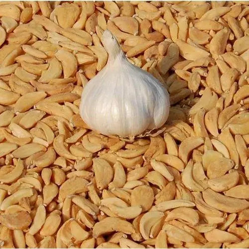 Garlic - Allium sativum - Flakes - Dehydrated and Dried Vegetable - TheWholesalerX |