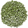 Green Coffee Beans | TheWholesalerX