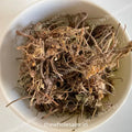 Gul banafsha - Gul Banpsa - Viola Odorata - Sweet Violet - TheWholesalerX