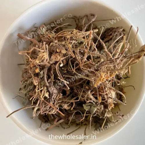 Gul banafsha - Gul Banpsa - Viola Odorata - Sweet Violet - TheWholesalerX