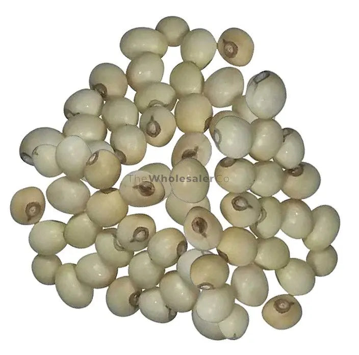 TheWholesalerX-Gunja Safed Seeds - Chirmati Safed Beej - White Ratti - Rosary Pea - Abrus Precatorius