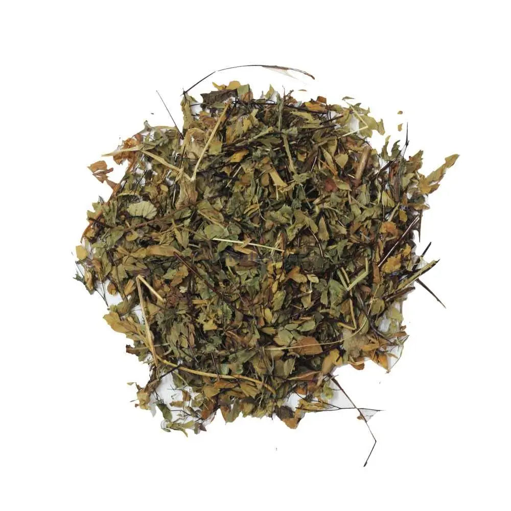 Hansraj Leaves - Pershosha - Adiantum Capillus Veneris | TheWholesalerX