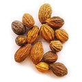 Harad Badi Pili - Haritaki - Yellow Terminalia Chebula | TheWholesalerX |