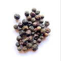 Hauber - Juniperus communis Linn - Juniper Berry | TheWholesalerX