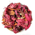 Hibiscus Flower - Hibiscus sinensis - Gudhal Phool - Gudhal Flower | TheWholesalerX