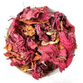 Hibiscus Flower - Hibiscus sinensis - Gudhal Phool - Gudhal Flower | TheWholesalerX