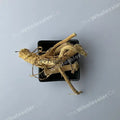 TheWholesalerX-Indrayan Roots - Indrain Jadd - Indrayun- Bitter Apple - Citrullus colocynthis