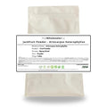 Jackfruit Powder - Artocarpus heterophyllus Bulk Supplier@TheWholesaleCo Prices