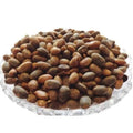 TheWholesalerX-Jamalghota Beej - Jamalgota Seeds - Croton Seeds - Nepala - Croton Tiglium