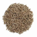 Jeera Khar - Jeera Khair - Carum Carvi- Buy Spices at Wholesale Price | TheWholesalerX