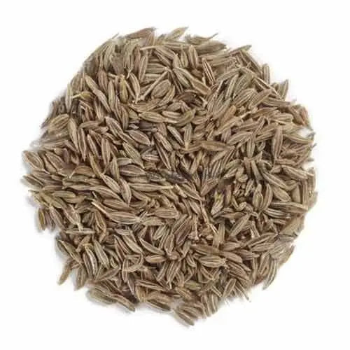 Jeera Khar - Jeera Khair - Carum Carvi- Buy Spices at Wholesale Price | TheWholesalerX