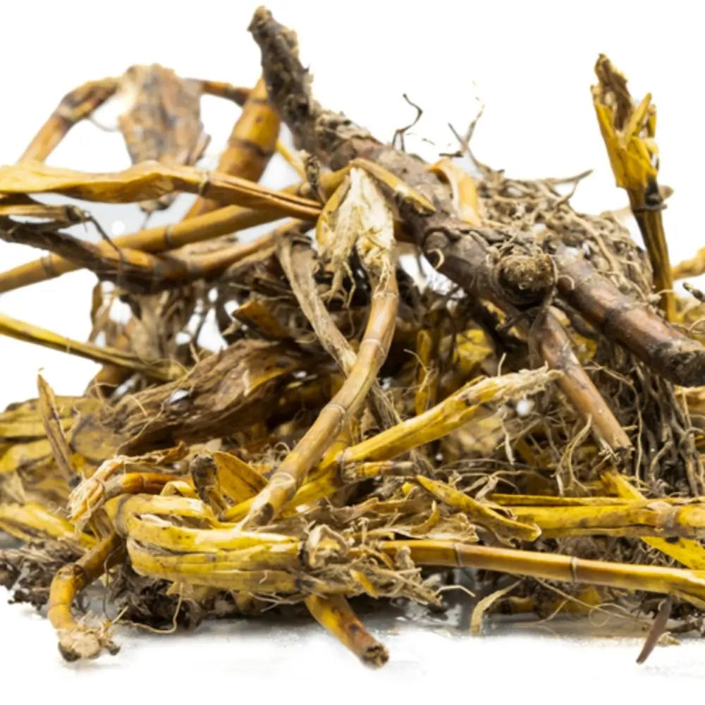 Jivanti Roots - Jiwanti Jadd - Jeevanti Roots - Leptadenia Reticulata | TheWholesalerX |