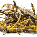 Jivanti Roots - Jiwanti Jadd - Jeevanti Roots - Leptadenia Reticulata | TheWholesalerX |