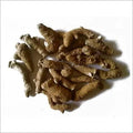 Kachur - White Turmeric - Curcuma Zedoaria | TheWholesalerX