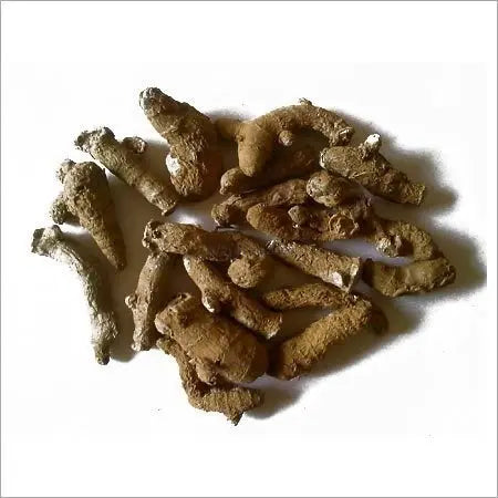Kachur - White Turmeric - Curcuma Zedoaria | TheWholesalerX