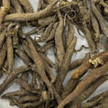 Kakoli - Roscaea Procera | TheWholesalerX