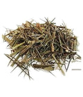 Kalmegh leaves - Chirayta Hara - Andrographis Paniculata | TheWholesalerX |