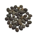 Kamal Gatta - Nelumbo Nucifera Gaertn - Lotus Seeds | TheWholesalerX |