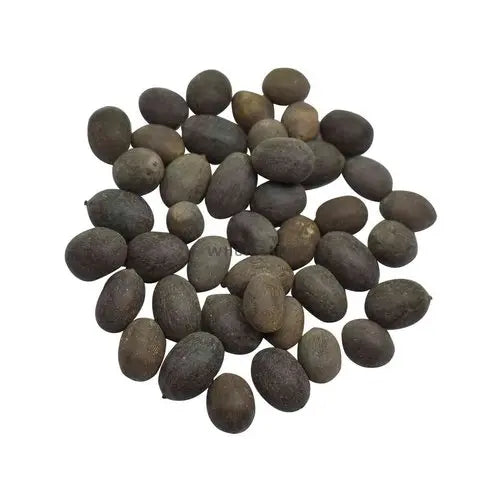 Kamal Gatta - Nelumbo Nucifera Gaertn - Lotus Seeds | TheWholesalerX |