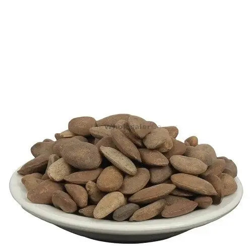 TheWholesalerX-Kanchan Seeds - Beej Kanchan - Champak Seed - Michelia Champaca