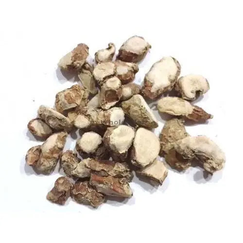 Kapoor Kachri - Kapur Kachri - Ekangi - Hedychium Spicatum - Spiked Ginger Lily | TheWholesalerX |