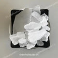 TheWholesalerX-Kapur - Kapoor - Karpoora - Karpura - Edible Camphor - Cinnamomum Camphora