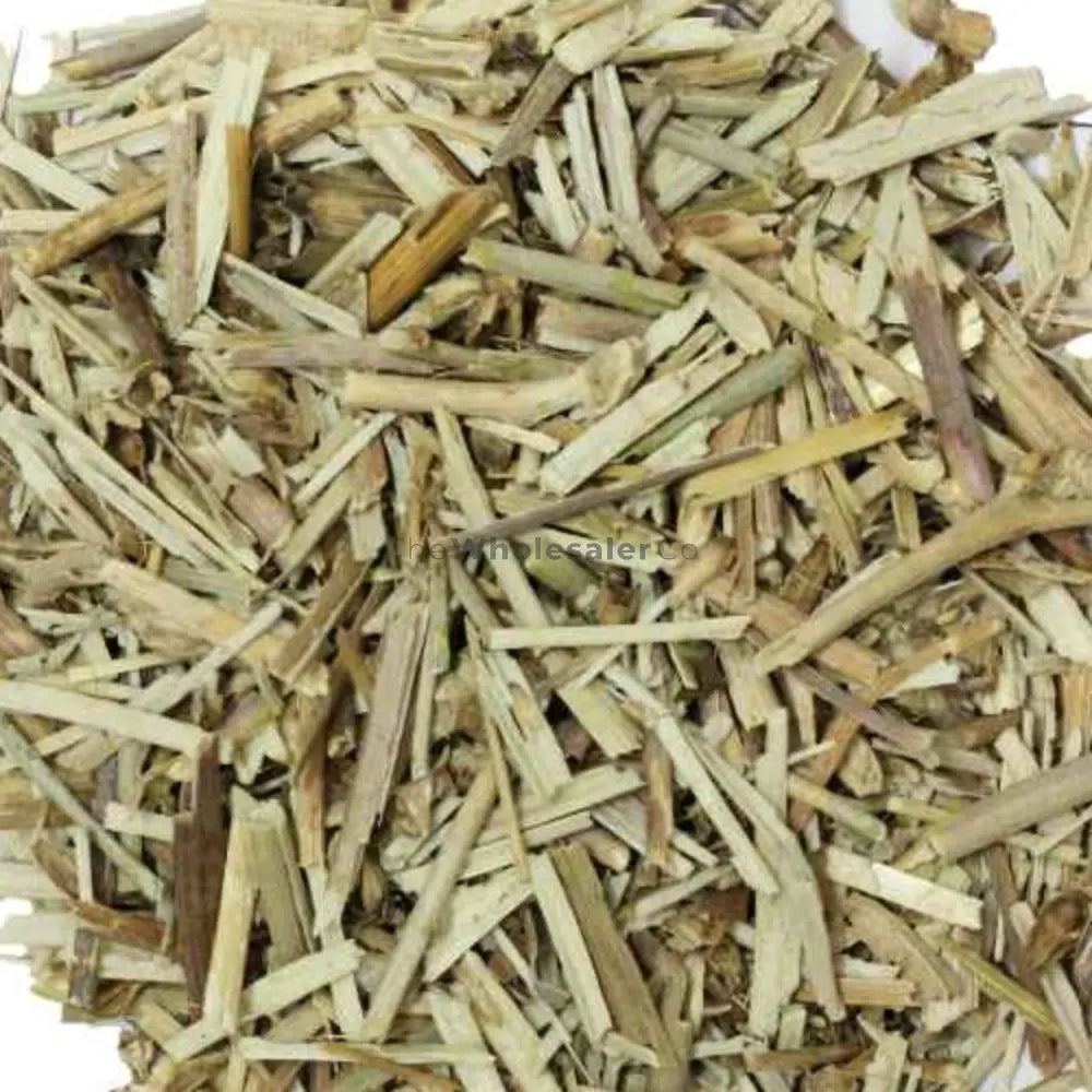 Kasni - Chicory - Cichorium intybus | TheWholesalerX