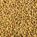 Kasuri Methi Seeds - Fenugreek- Champa Methi - Trigonella foenum-graecum - Methi Dana | TheWholesalerX |