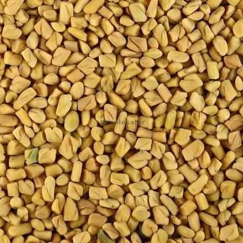 Kasuri Methi Seeds - Fenugreek- Champa Methi - Trigonella foenum-graecum - Methi Dana | TheWholesalerX |
