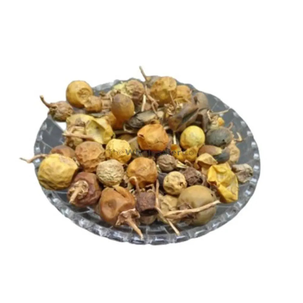Kateri Fruit - Katehli Fal - Solanum Xanthocarpum - Bhatkatiya - Kantakari | TheWholesalerX