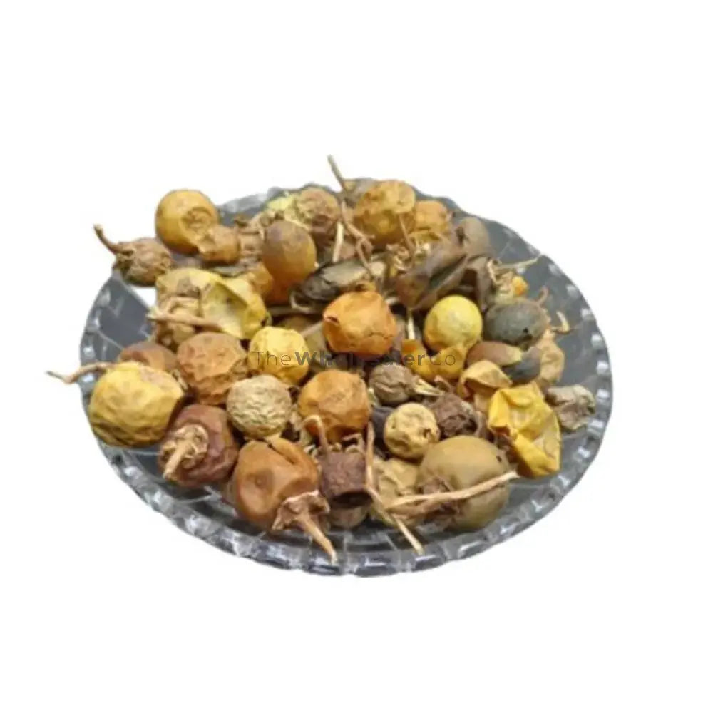 Kateri Fruit - Katehli Fal - Solanum Xanthocarpum - Bhatkatiya - Kantakari | TheWholesalerX