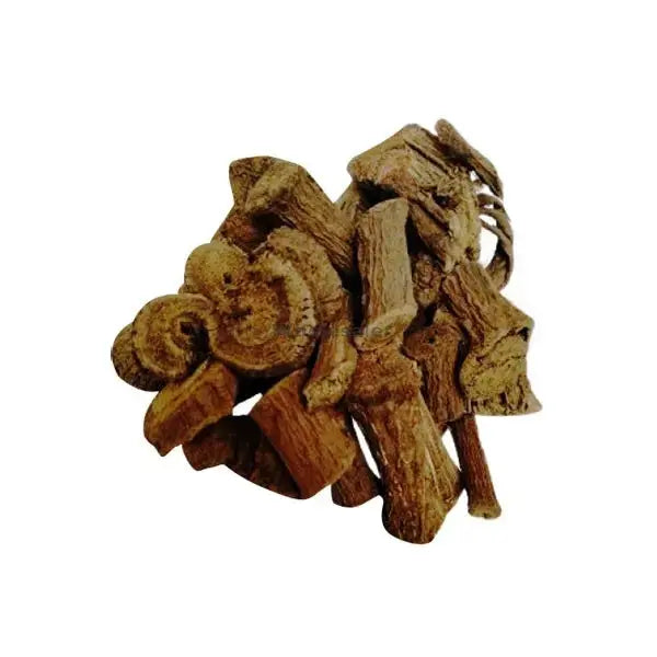 Kaunch Root - Konch Jad - Kounch Roots - Mucuna Root - Mucuna pruriens | TheWholesalerX