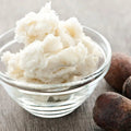 Kokum Butter (Refined) - Garcinia indica | TheWholesalerX 