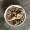 Kuchla Beej - Nux Mica - Strychnos nux-vomica - TheWholesalerX