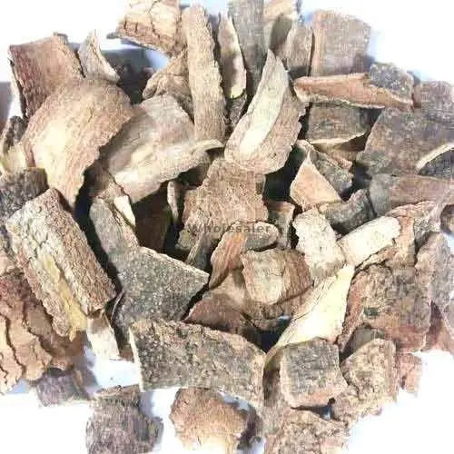 Kuda Chhal - Kutaj Chaal - Holarrhena Antidysenterica - Conessi Bark | TheWholesalerX