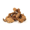 Kulanjan - Kulinjan - Paan Jadd - Galangal root - Alpinia Galanga Wild - Siamese Ginger - Thai Ginger | TheWholesalerX |