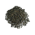 Kulfa Seeds - Kulpha - Portulaca Oleracea-Purslane Seeds | TheWholesalerX |