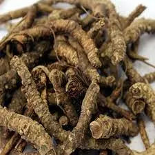 Kutki root - Katuki root - Picrorhiza Kurroa - Hellabore | 1Kg, 5Kg Wholesale price | TheWholesalerX