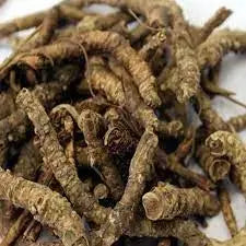 Kutki root - Katuki root - Picrorhiza Kurroa - Hellabore | 1Kg, 5Kg Wholesale price | TheWholesalerX