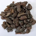 Lakh Pipal - Lakh Peepal -  Ficus Religiosa - Shellac Lac - Lakh Kachli | TheWholesalerX