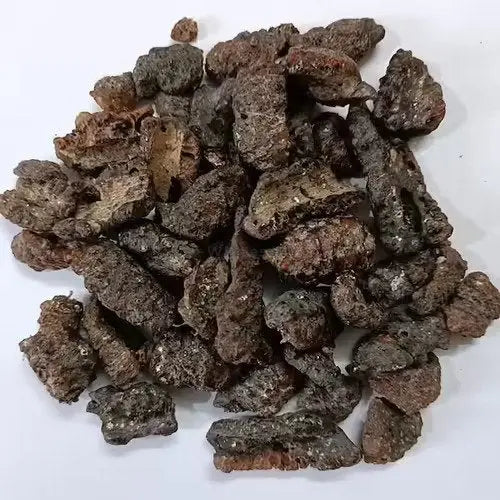 Lakh Pipal - Lakh Peepal -  Ficus Religiosa - Shellac Lac - Lakh Kachli | TheWholesalerX