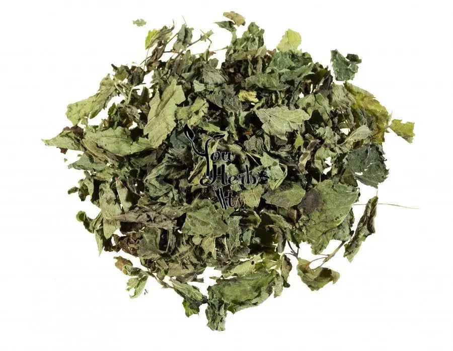Dry Lemon Balm - Melissa officinalis | TheWholesalerX |