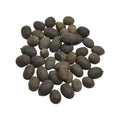Kamal Gatta - Nelumbo Nucifera Gaertn - Lotus Seeds | TheWholesalerX |