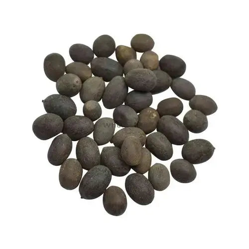 Kamal Gatta - Nelumbo Nucifera Gaertn - Lotus Seeds | TheWholesalerX |