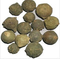 Majuphal - Manjakani - Quercus Infectoria Oliv - Dyer's Oak - Gall Nuts | TheWholesalerX |
