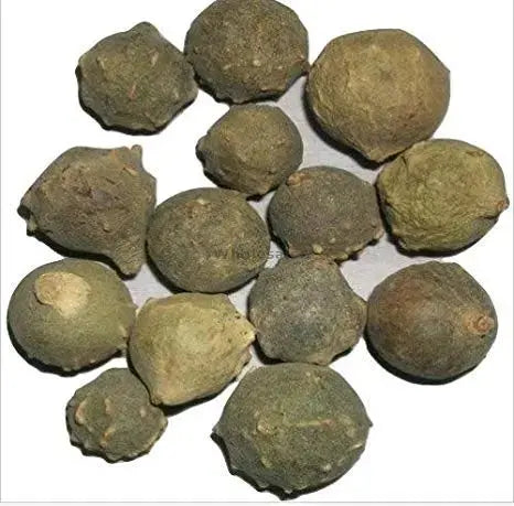 Majuphal - Manjakani - Quercus Infectoria Oliv - Dyer's Oak - Gall Nuts | TheWholesalerX |