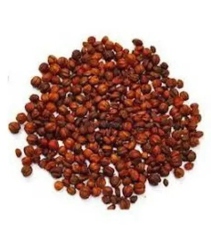 Malkangni Seeds - Jyotishmati - Celastrus Paniculatus | TheWholesalerX |