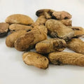Aam Guthli - Aam Magaj - Mengifera Indica - Mango Seed Kernel | TheWholesalerX |