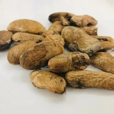 Aam Guthli - Aam Magaj - Mengifera Indica - Mango Seed Kernel | TheWholesalerX |