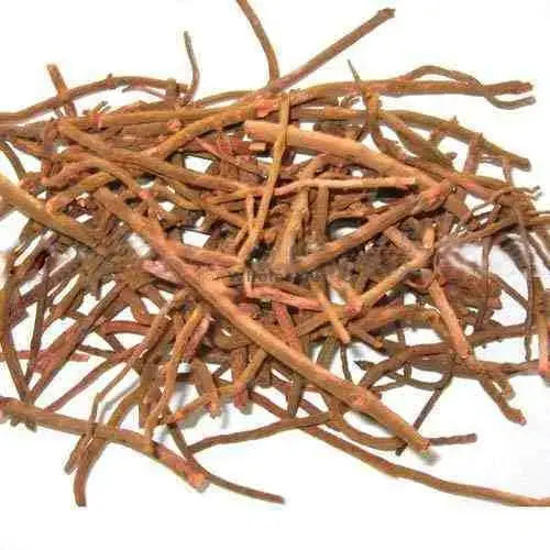 Manjistha root - Rubia cordifolia - Manjith - Majeeth - Madder | TheWholesalerX |